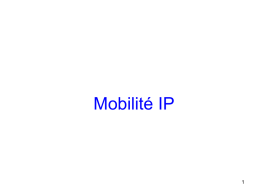 Architecture Mobile IP