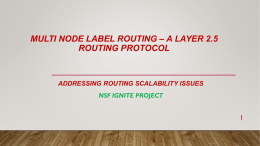 Multi Node Label Routing Protocol