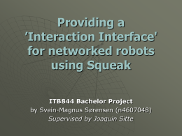 Interaction Interface for networked robots - Poster