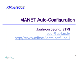 MANET Auto-Configuration