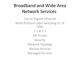 Carrier Network Services
