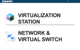 Virtual Switch