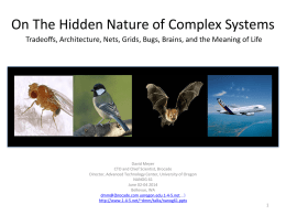 On the Hidden Nature of Complex Systems