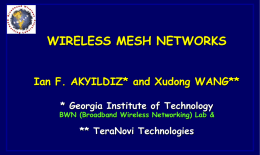 wireless mesh networks