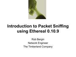 Introduction to Packet Sniffing