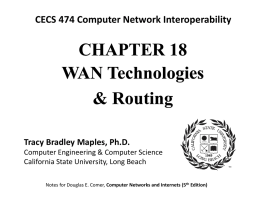 Chapter 18 -- WAN Routing - California State University, Long Beach