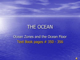 THE OCEAN