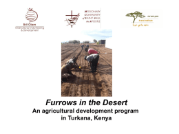 Furrows in the Desert Slideshow Nov. 2013