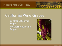 California wine Grapes - Juice Grape