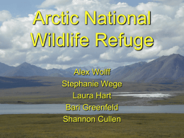 Arctic National Wildlife Preserve