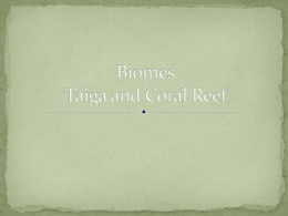Biomes Taiga and Coral Reef