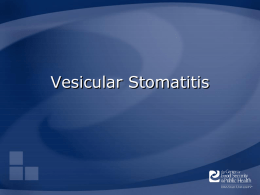 Vesicular Stomatitis - The Center for Food Security and Public Health