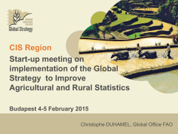 Global Strategy to Improve Agricultural and Rural Statistics