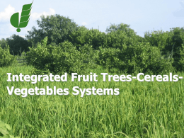 Integrated Fruit Trees-Cereals
