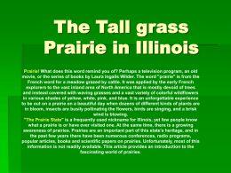 The Tallgrass of the Prairie