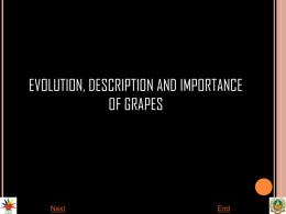 3.Evaluation, description and importance of grapes