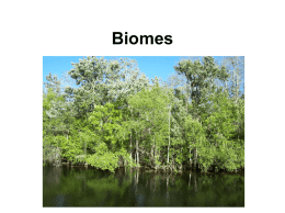 Biomes of the World - MDC Faculty Home Pages