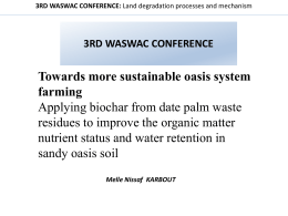 Towards more sustainable oasis system farming: Applying biochar