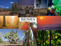 2015 Biome`s PowerPoint