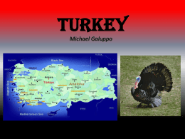 Turkey - RMcFadden