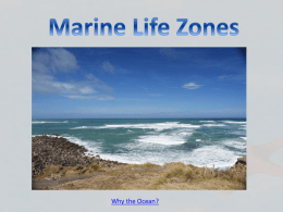 Marine Life Zones Why the Ocean? Regions that contain