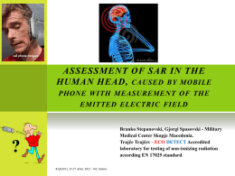ASSESSMENT OF SAR IN THE HUMAN HEAD, caused by mobile