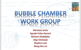 Bubble Chamber Work Group Presentation