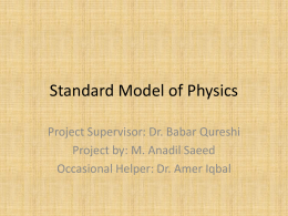 Standard Model of Physics