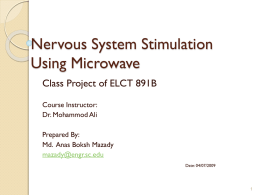 Nervous System Stimulation Using Microwave