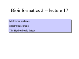 PowerPoint Presentation - Bioinformatics 2 -
