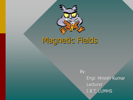 Magnetic Fields - IBT LUMHS