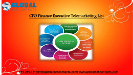 CFO Finance Executive Telemarketing List