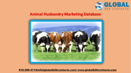 Animal Husbandry Marketing Database