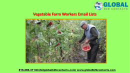 Vegetable Farm Workers Email Lists