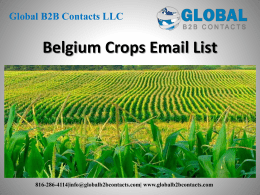 Belgium Crops Email List