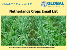 Netherlands Crops Email List