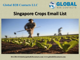 Singapore Crops Email List
