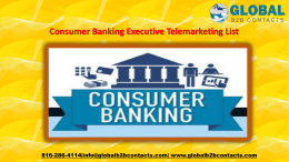 Consumer Banking Executive Telemarketing List