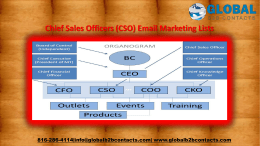 Chief Sales Officers (CSO) Email Marketing Lists