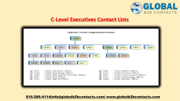 C-Level Executives Contact Lists