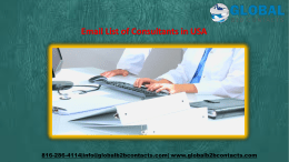 Email List of Consultants in USA