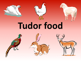 Tudor food - Primary Resources