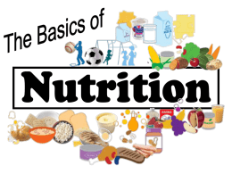 Basics of Nutrition