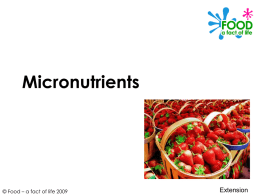 Micronutrients - Food a fact of life