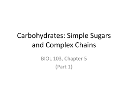 BIOL 103 Ch 5-1 for Students