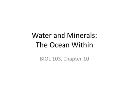 BIOL103 Chapter 10 Minerals for