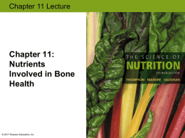 11. Nutrients Involved in Bone Health