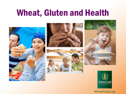 Wheat Gluten and Health PowerPoint Presentation
