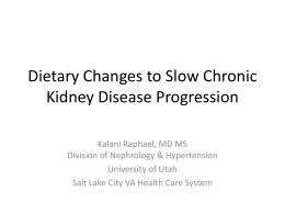 Dietary Changes to Slow Chronic Kidney Disease Progression