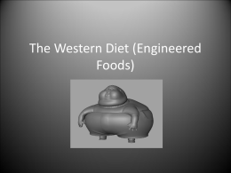 The Western Diet